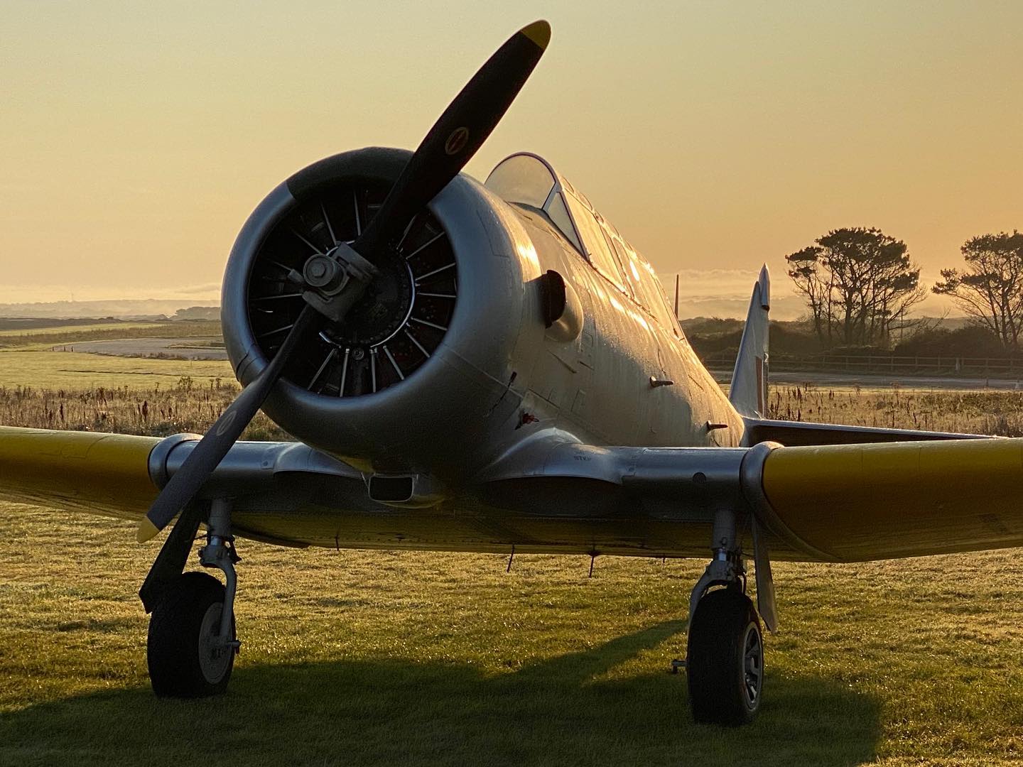 20 Minute Harvard experience with pre and post flight briefing